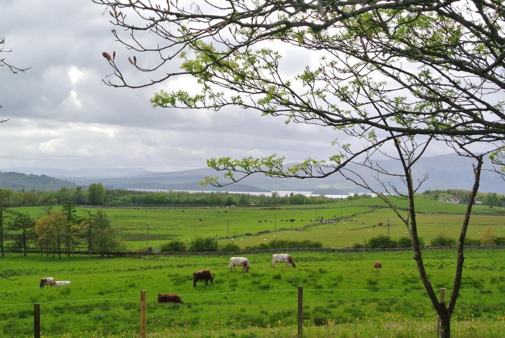 Shandon Farmhouse Bed And Breakfast Drymen Dış mekan fotoğraf