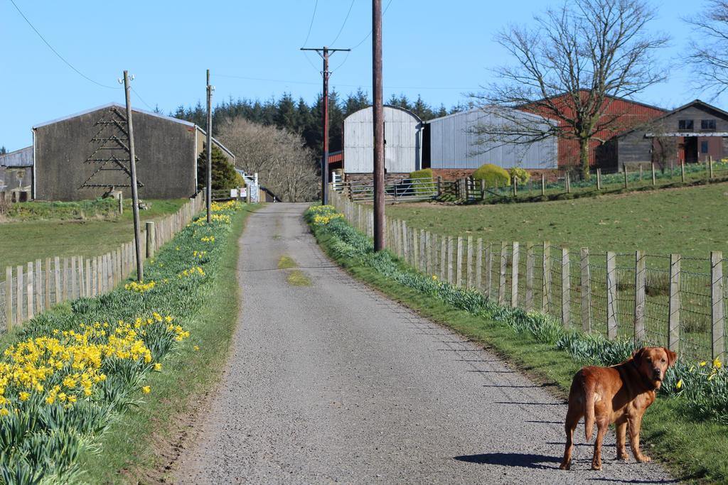 Shandon Farmhouse Bed And Breakfast Drymen Dış mekan fotoğraf